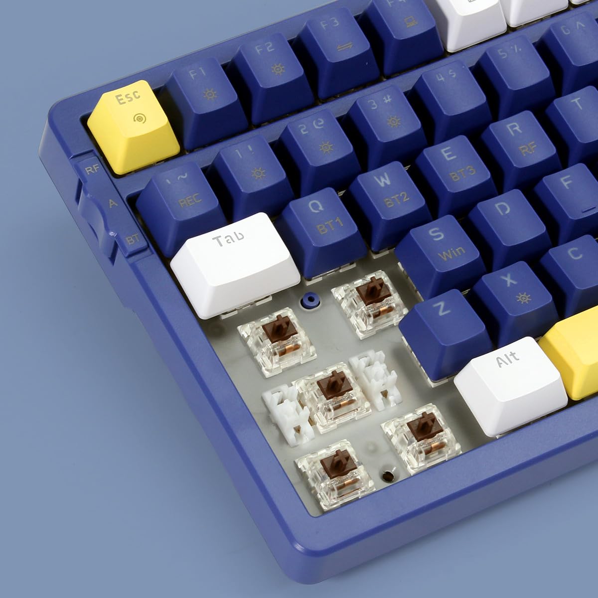 Merdia Wireless Mechanical Keyboard, Triple Mode 2.4G/USB-C/BT Gaming Keyboards 100 Keys Ice-Blue Backlit, Brown Switch Keyboard | Rechargeable Mechanical Gaming Keyboards | Blue/White/Yellow - Image 5